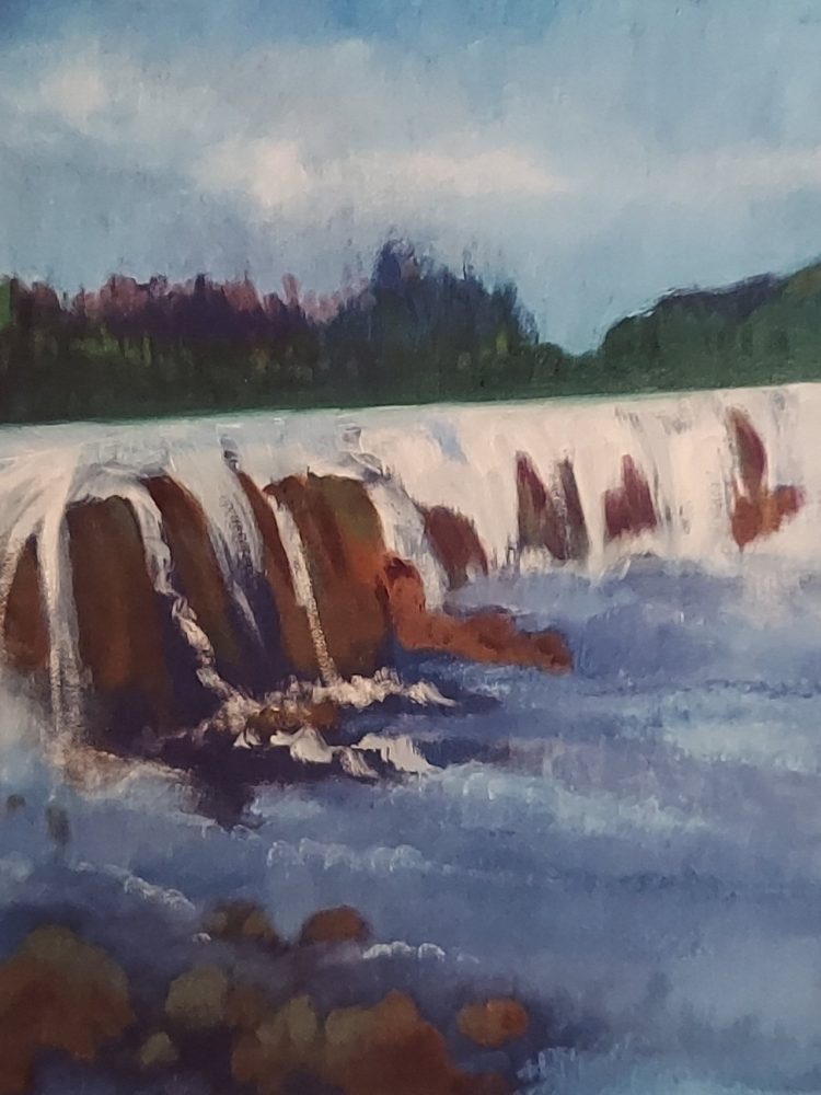 FALLS SIMKHA 20201109_192207